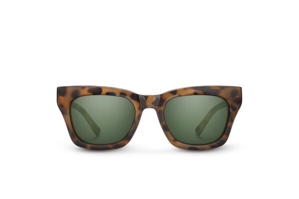 Allora-Yellow-Tortoise-正面