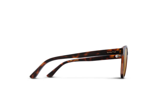 Barnes-Tortoise-サイド