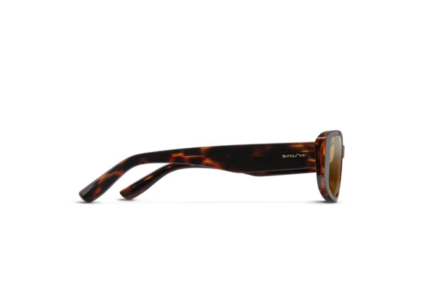 Lane-Tortoise-サイド