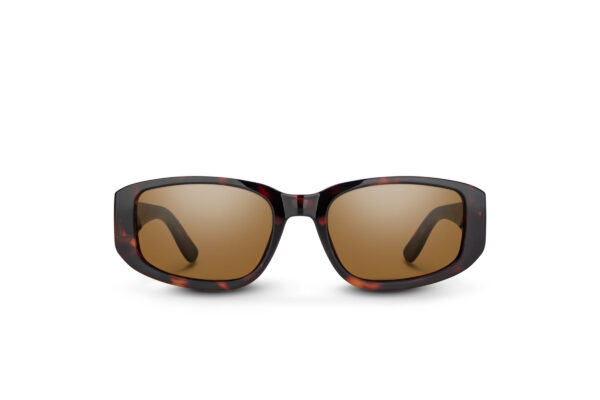 Lane-Tortoise-正面